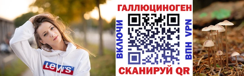 Галлюциногенные грибы Psilocybine cubensis  дарнет шоп  Тавда 